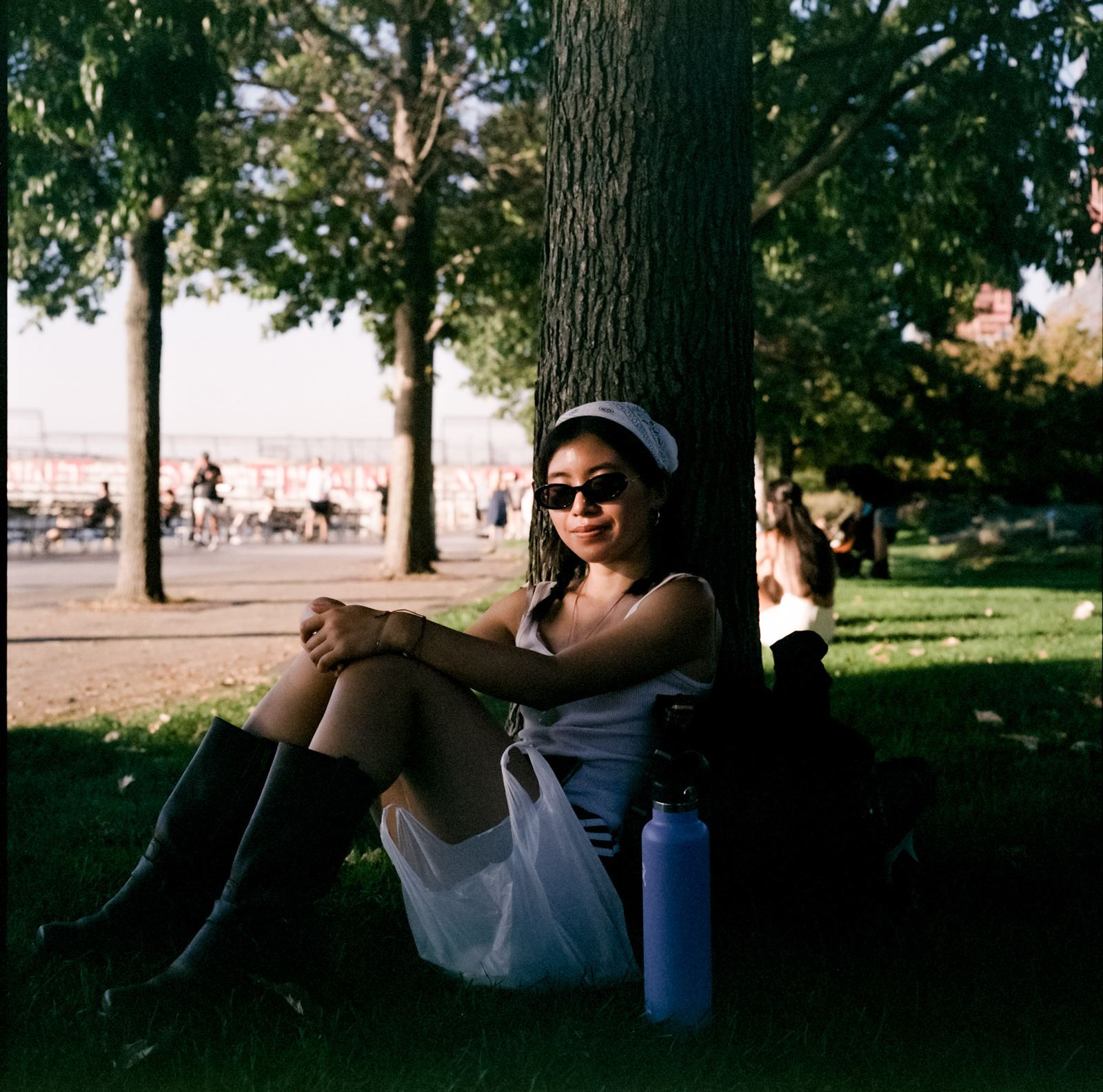 Friends sitting under a large tree in a park in warm afternoon light.