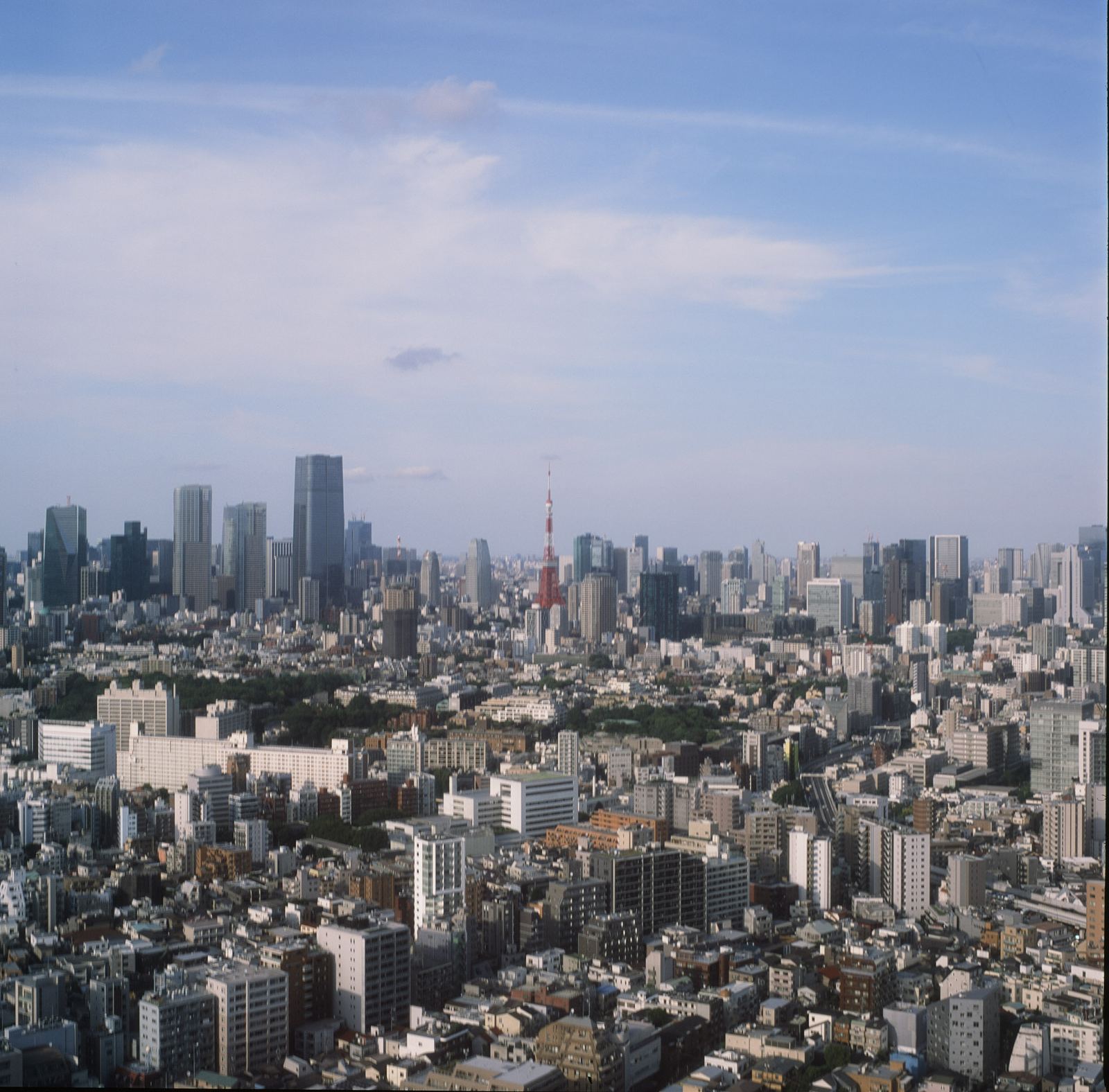 Tokyo skyline stretching to the horizon from an elevated viewpoint.